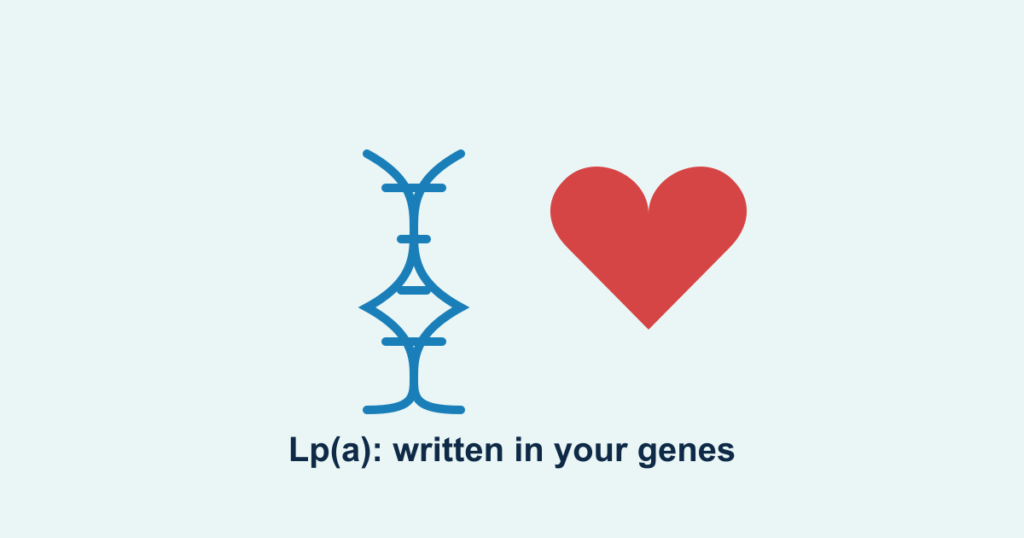A DNA helix beside a heart, representing inherited lipoprotein(a) risk