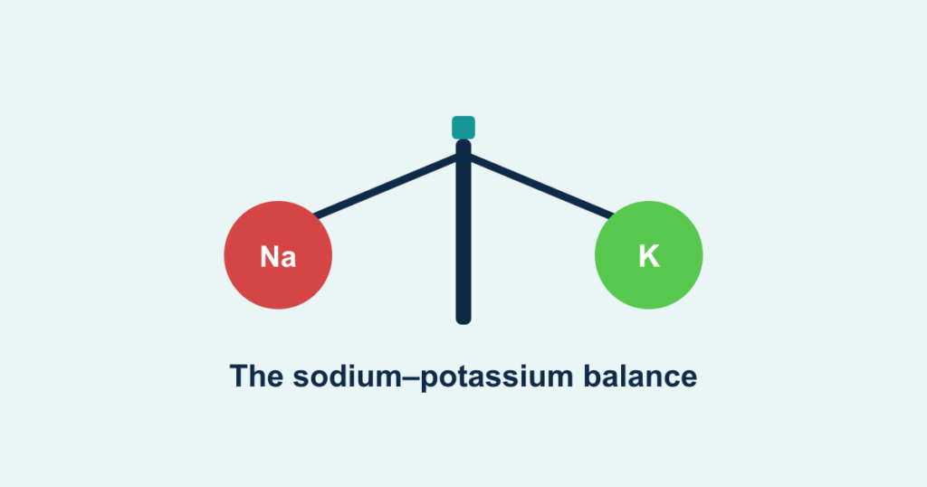 A balance scale weighing sodium against potassium