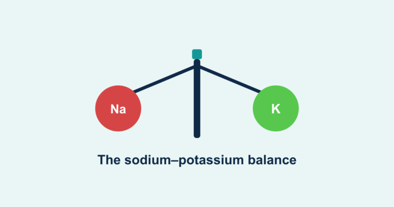 A balance scale weighing sodium against potassium