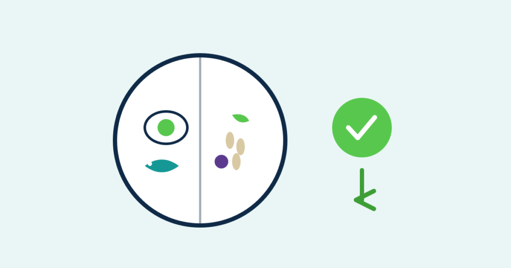A plate split between protein foods and fiber foods beside a green checkmark and downward arrow