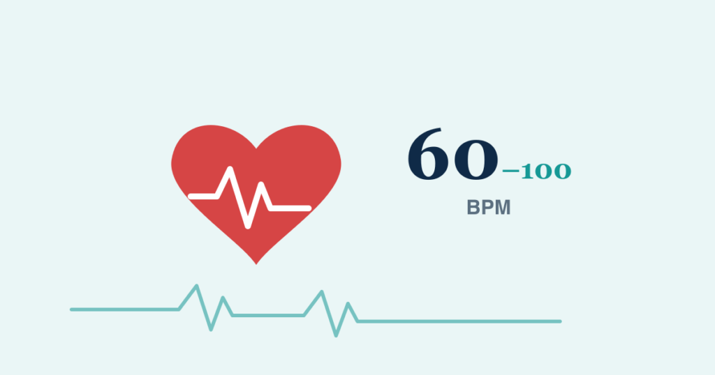 A red heart with an ECG line beside the numbers 60 to 100 BPM
