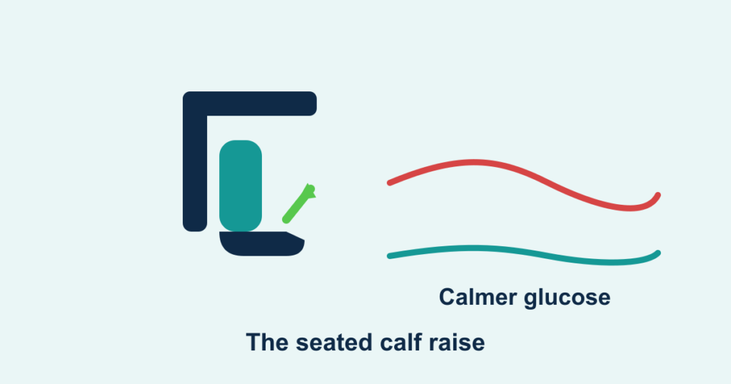 A seated leg lifting its heel, beside a flattened glucose curve