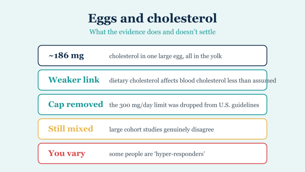 Key facts about eggs and cholesterol, including the removed 300 mg daily cap and the mixed cohort evidence