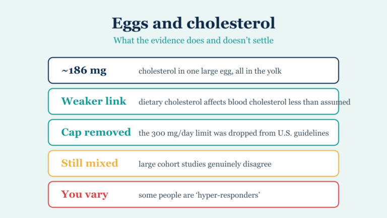 Key facts about eggs and cholesterol, including the removed 300 mg daily cap and the mixed cohort evidence