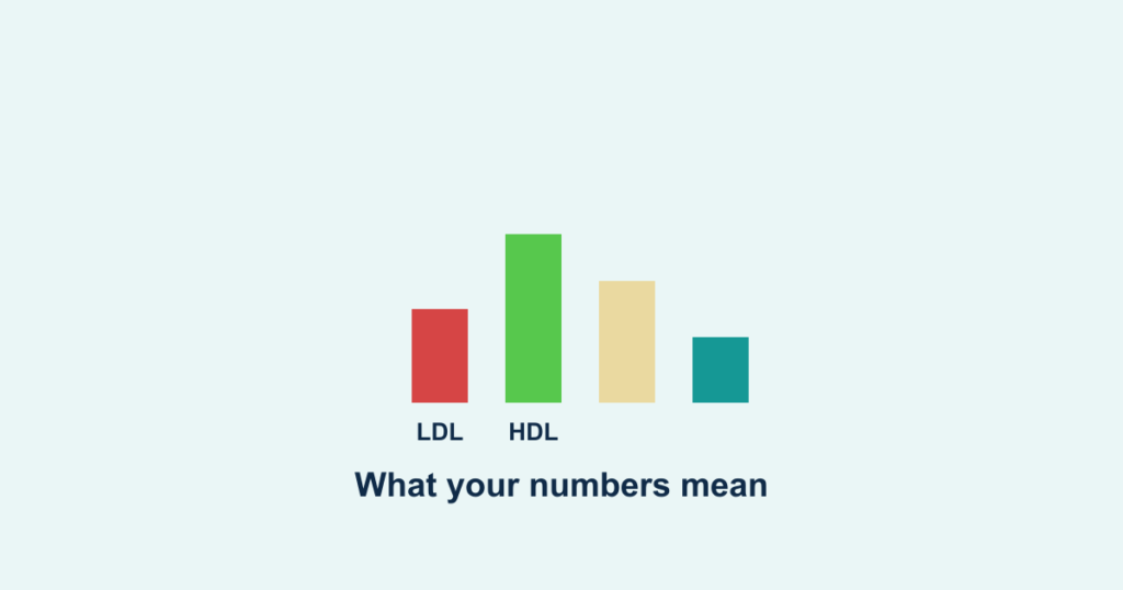 A bar chart of cholesterol components, LDL and HDL labeled