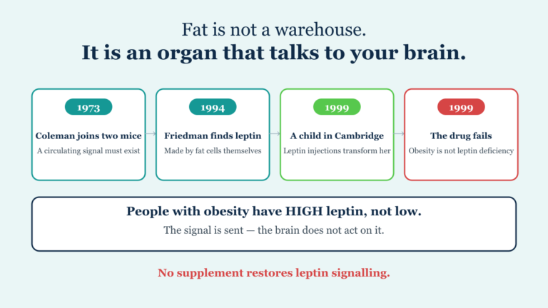 Timeline of leptin discovery: Coleman's 1973 parabiosis mice, Friedman's 1994 gene cloning, 1999 child treated in Cambridge, and the 1999 failure of leptin as an obesity drug
