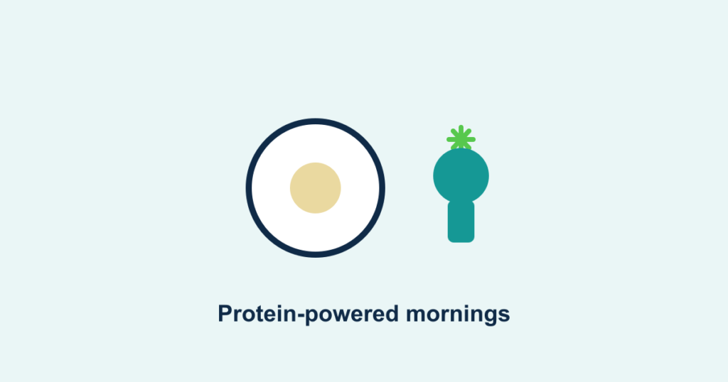 A protein-rich breakfast plate beside a morning sun