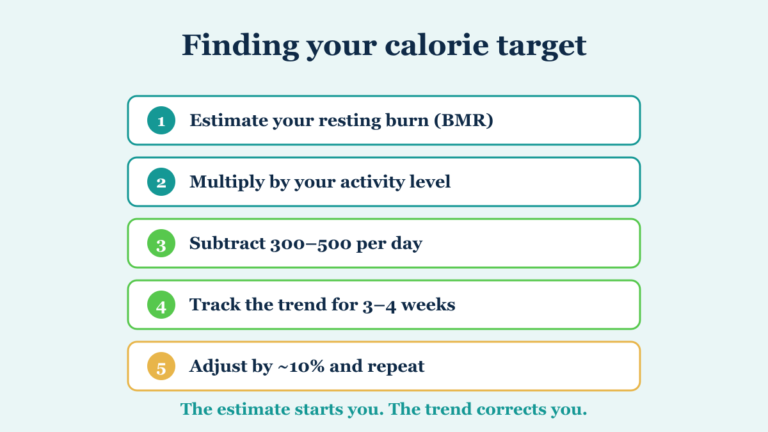 Five steps to find a calorie target: estimate BMR, apply activity factor, subtract a deficit, track the trend, adjust