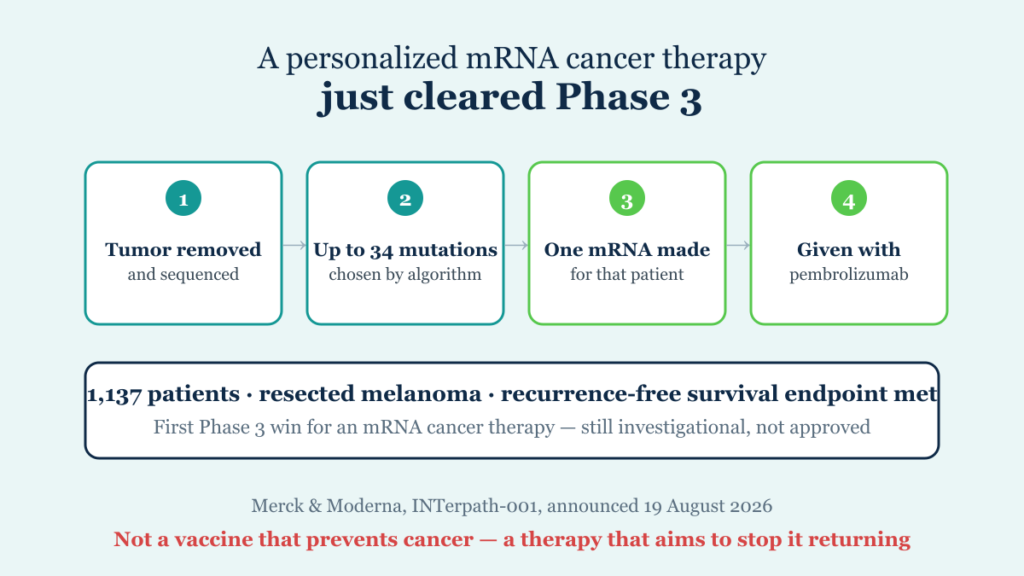 How Moderna's personalized mRNA cancer therapy works: tumour sequenced, mutations selected, custom mRNA made, given with pembrolizumab