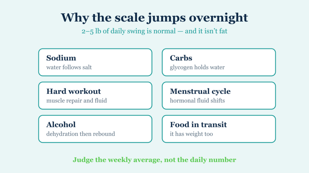 Six reasons daily weight changes: sodium, carbohydrate, exercise, menstrual cycle, alcohol and food in transit